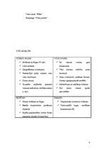 Referāts 'Saulkrastu SVID analīze', 9.