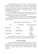 Referāts 'Jauniešu finanšu drošība e-vidē', 7.