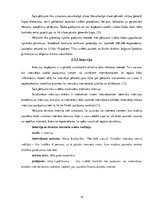 Referāts 'Jauniešu finanšu drošība e-vidē', 14.