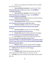 Referāts 'Jauniešu finanšu drošība e-vidē', 29.