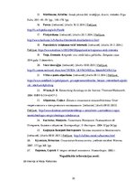 Referāts 'Jauniešu finanšu drošība e-vidē', 30.