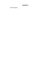 Referāts 'Jauniešu finanšu drošība e-vidē', 43.