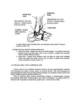Referāts 'Pēdas funkcionālā stāvokļa atjaunošana pēc saišu sastiepuma jauniešiem basketbol', 12.