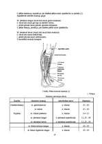 Referāts 'Pēdas funkcionālā stāvokļa atjaunošana pēc saišu sastiepuma jauniešiem basketbol', 16.
