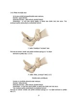 Referāts 'Pēdas funkcionālā stāvokļa atjaunošana pēc saišu sastiepuma jauniešiem basketbol', 19.