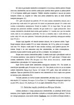 Referāts 'Starptautiskās lidostas "Rīga" darbība salīdzinājumā ar Eiropas lidostu attīstīb', 9.