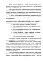 Referāts 'Starptautiskās lidostas "Rīga" darbība salīdzinājumā ar Eiropas lidostu attīstīb', 17.