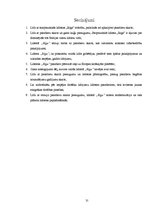 Referāts 'Starptautiskās lidostas "Rīga" darbība salīdzinājumā ar Eiropas lidostu attīstīb', 31.