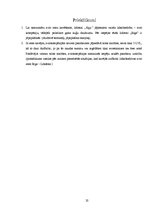 Referāts 'Starptautiskās lidostas "Rīga" darbība salīdzinājumā ar Eiropas lidostu attīstīb', 32.