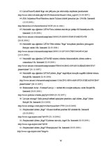 Referāts 'Starptautiskās lidostas "Rīga" darbība salīdzinājumā ar Eiropas lidostu attīstīb', 36.