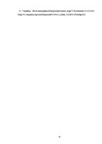 Referāts 'Starptautiskās lidostas "Rīga" darbība salīdzinājumā ar Eiropas lidostu attīstīb', 38.