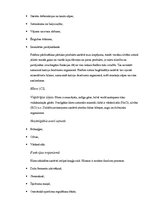 Referāts 'Minerālvielas', 4.