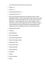 Referāts 'Minerālvielas', 7.