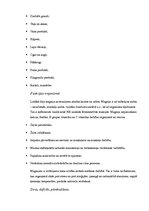 Referāts 'Minerālvielas', 11.