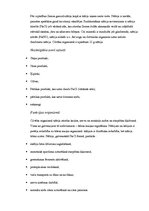 Referāts 'Minerālvielas', 13.