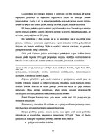 Referāts 'Patērētāju tiesību aizsardzība tirgus ekonomikā', 30.