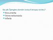 Prezentācija 'Filosofija 20.gadsimta sākumā', 13.