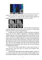Referāts 'Ģeofizikālo pētījumu metožu pielietošanas iespējas akvatoriju pētījumos (ģeoloģi', 5.