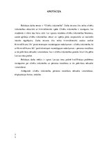 Diplomdarbs 'Cilvēku tirdzniecība', 2.