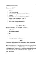 Referāts 'Komunikācija un tās īpatnības jauniešu auditorijā', 4.