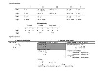 Konspekts 'Latīņu valoda medicīnas studentiem', 5.