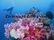 Prezentācija 'Zivis', 1.