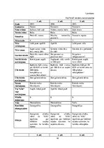 Referāts 'TP "Alfa" un TC "Domina Shopping" reklāmu salīdzinājums: efektivitāte un auditor', 42.