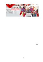 Referāts 'TP "Alfa" un TC "Domina Shopping" reklāmu salīdzinājums: efektivitāte un auditor', 51.