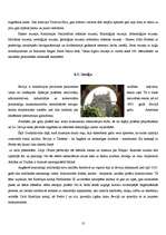 Referāts 'Spānija', 10.