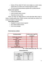 Referāts 'Minerālvielas', 11.