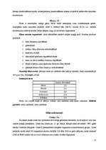 Referāts 'Minerālvielas', 13.