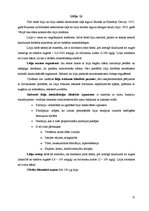 Referāts 'Minerālvielas', 22.