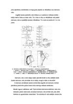 Referāts 'Ūdens apgāde un kanalizācija. Ieskaites darbs', 10.