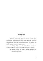 Referāts 'Brīvās ekonomiskās zonas', 13.