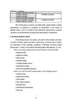 Diplomdarbs 'Personāla motivācijas ietekme uz pārdošanas efektivitāti vairumtirdzniecības uzņ', 16.