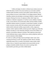 Referāts 'Vadības psiholoģijas attīstība', 19.