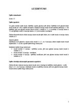 Paraugs 'Mākslīgā intelekta pamati', 2.