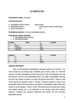 Paraugs 'Mākslīgā intelekta pamati', 8.