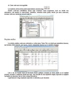 Referāts 'Projektu pārvaldības rīki - Planner, Open Workbench, Clarizen', 4.