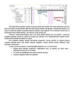 Referāts 'Projektu pārvaldības rīki - Planner, Open Workbench, Clarizen', 11.