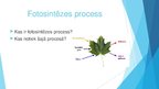 Prezentācija 'Fotosintēzes process', 2.