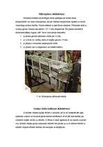 Referāts 'Gāzes sadales mehānisma defektēšana (motora galvas defektēšana)', 3.