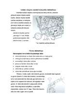 Referāts 'Gāzes sadales mehānisma defektēšana (motora galvas defektēšana)', 6.