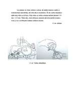 Referāts 'Gāzes sadales mehānisma defektēšana (motora galvas defektēšana)', 9.