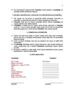 Paraugs 'Nomas līgums', 3.