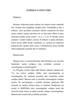 Konspekts 'Maksājumu kartes', 4.