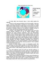 Referāts 'Tūrisms', 3.