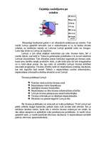 Referāts 'Tūrisms', 4.