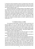 Referāts 'Alkohols un jauniešu veselība', 13.