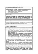 Paraugs 'Biznesa ideja', 1.